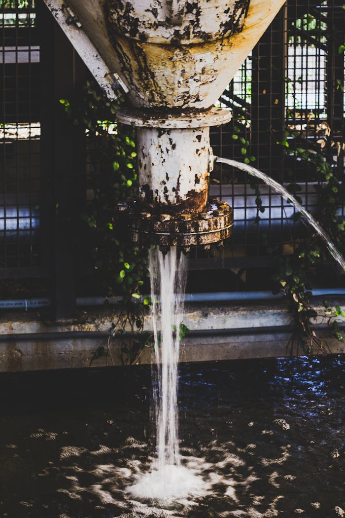 About A rusty pipe discharges water into an industrial environment, surrounded by lush foliage.